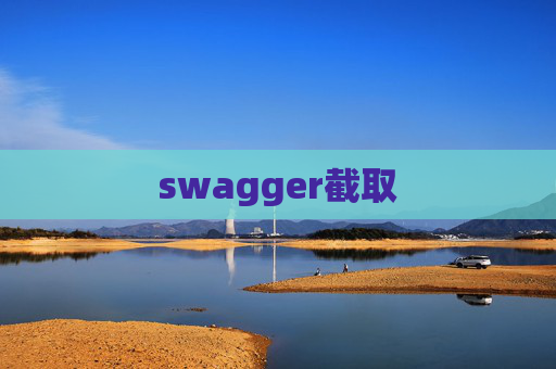 swagger截取